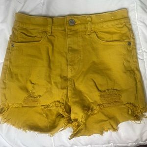 Express Shorts